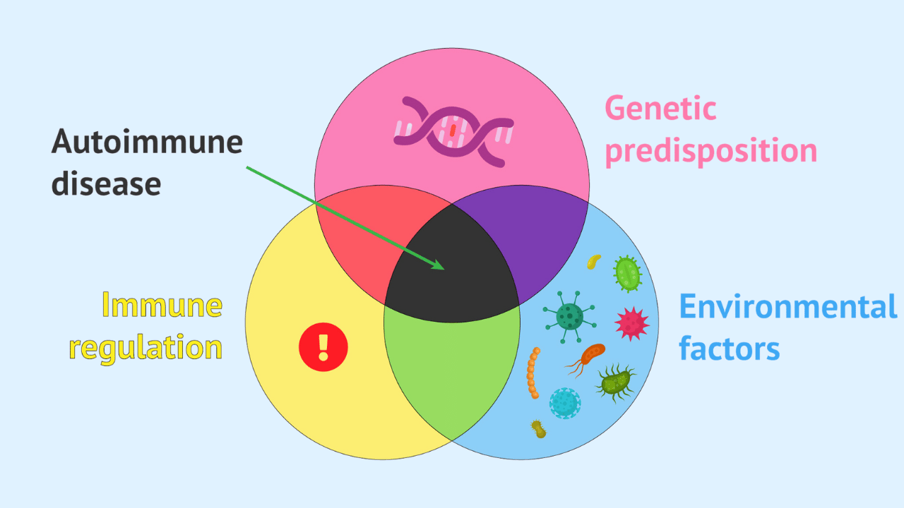 What Are Autoimmune Conditions & How Do They Develop?