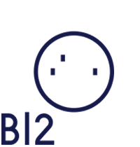 B12