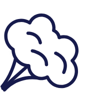 ICON-SPINACH_C3584477-2C23-430C-87D3-B3D677309AF0